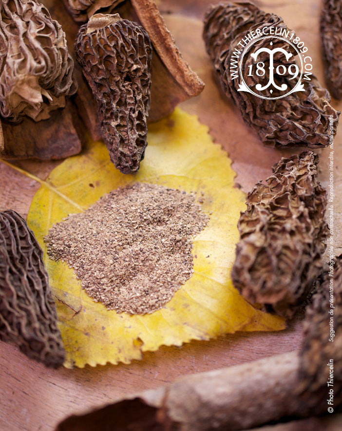 Morilles du Cachemire séchées et réduites en poudre - Thiercelin
