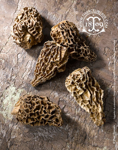 Morilles, calibre 30/50 mm, équeutées et séchées
