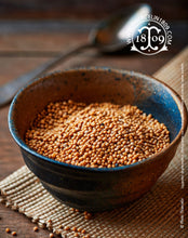 moutarde dîte blanche aux graines jaunes (Brassica alba) - Yellow mustard - Thiercelin