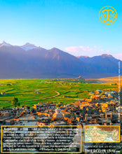 Moutarde jaune, graines