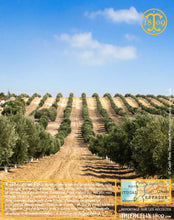 Huile d'Olive, vierge extra