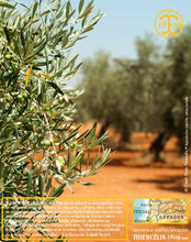 Huile d'Olive, vierge extra