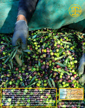 Huile d'Olive, vierge extra