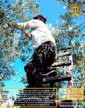 Huile d'Olive, vierge extra