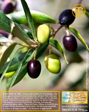 Huile d'Olive, vierge extra