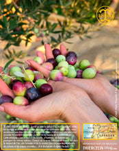 Huile d'Olive, vierge extra