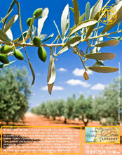 Huile d'Olive, vierge extra