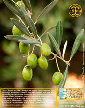 Huile d'Olive, vierge extra