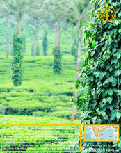 Poivre noir de Kerala, grains, cru Wayanad