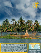 Poivre vert de Kerala, baies séchées