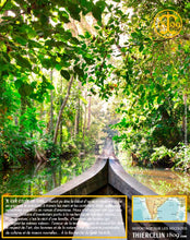 Poivre noir de Kerala, grains, cru Wayanad