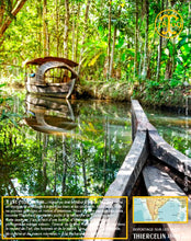 Poivre noir de Kerala, grains, cru Wayanad