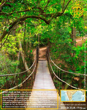 Poivre noir de Kerala, grains, cru Wayanad