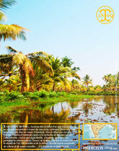 Poivre noir de Kerala, grains, cru Wayanad