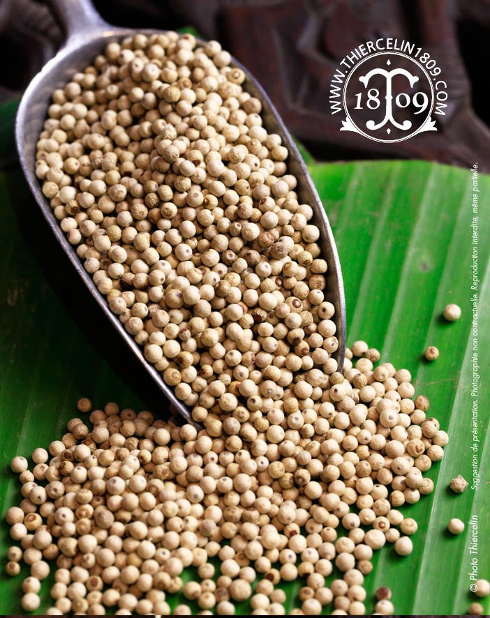 Poivre blanc de Penja IGP - Thiercelin