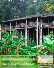 Poivre noir de Sarawak, baies séchées, qualité n°1 : Brown Label