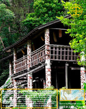 Poivre noir de Sarawak, baies séchées, qualité n°1 : Brown Label