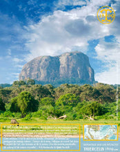 Poivre noir de Sarawak, baies séchées, qualité n°1 : Brown Label