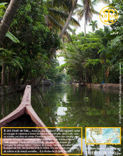 Poivre noir de Sarawak, baies séchées, qualité n°1 : Brown Label