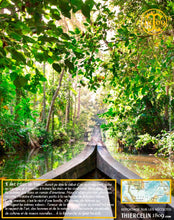 Poivre noir de Sarawak, baies séchées, qualité n°1 : Brown Label