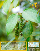 Poivre noir de Sarawak, baies séchées, qualité n°1 : Brown Label