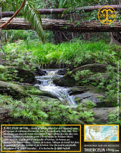 Poivre noir de Sarawak, baies séchées, qualité n°1 : Brown Label