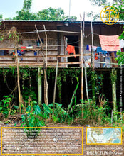 Poivre noir de Sarawak, baies séchées, qualité n°1 : Brown Label