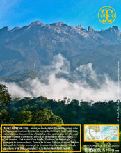 Poivre noir de Sarawak, baies séchées, qualité n°1 : Brown Label