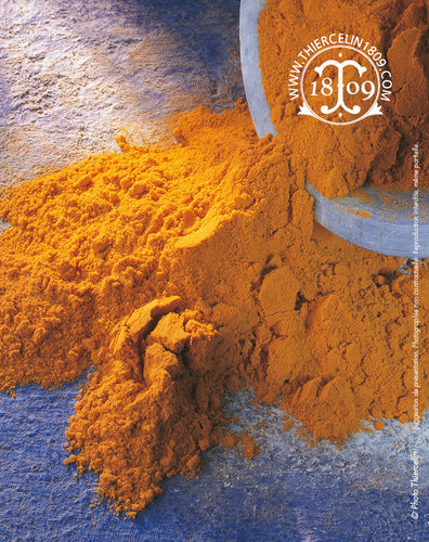 Ras el Hanout jaune, poudre - Thiercelin