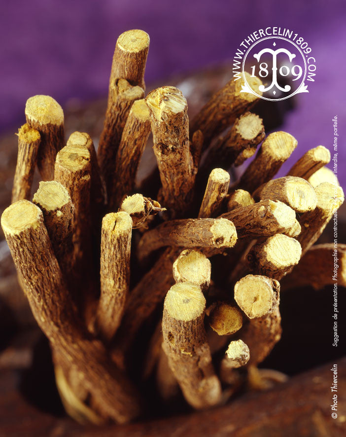 Réglisse bâtons entier - Thiercelin