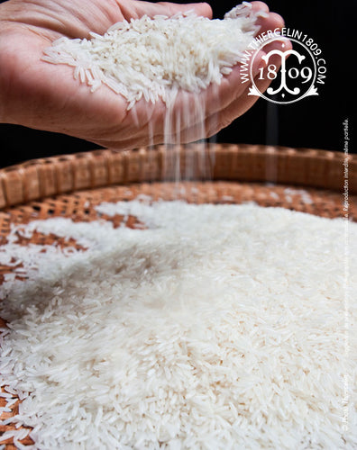 Riz Parfumé, Thaïlande