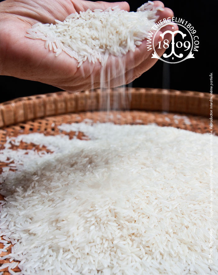 Riz Parfumé, Thaïlande