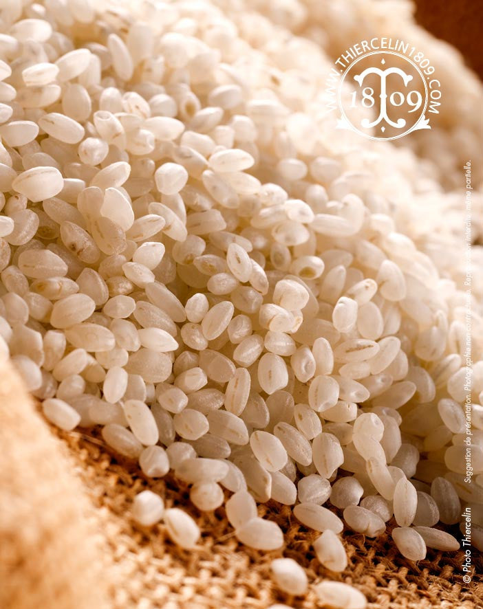 RIZ CARNAROLI, Italie