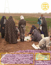 C'est l'heure de déjeuner. Les femmes préparent le pique-nique. Nous mangerons dans le champs à côté de la ramasse du matin. Thiercelin