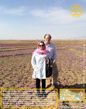 Crocus Sativus, bulbes de safran pour cultiver son safran