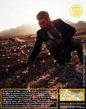 Safran, La Belle Safranière®, trituré (coupé)