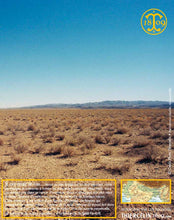 Sel au safran, poudre