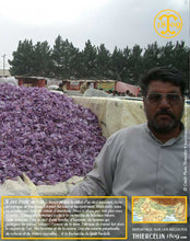 Sel au safran, poudre