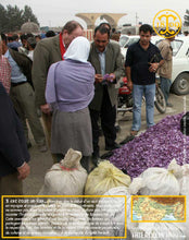 Monsieur Thiercelin inspecte au marché aux fleurs la qualité des fleurs de la récolte.