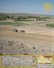 Moutarde au safran, moutarde de Dijon