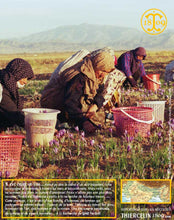 Moutarde au safran, moutarde de Dijon