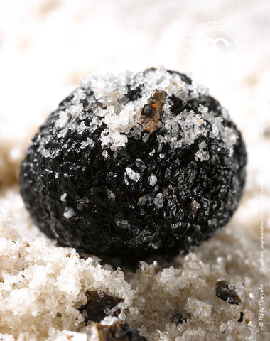 Sel à la truffe noire 6% tuber melanosporum - Thiercelin