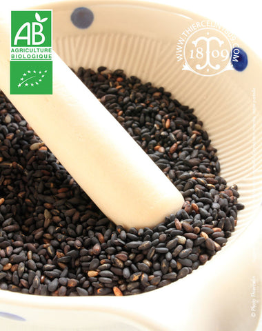 Sésame noir, graines issues de l'agriculture biologique - Thiercelin