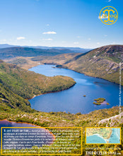 Sirop aux Baies de Tasmanie, liquide