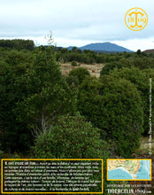 Moutarde aux baies de Tasmanie, texture lisse