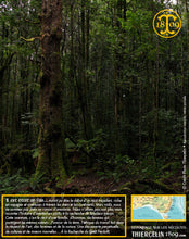 Moutarde aux baies de Tasmanie, texture lisse