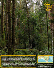 Moutarde aux baies de Tasmanie, texture lisse