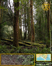 Sirop aux Baies de Tasmanie, liquide