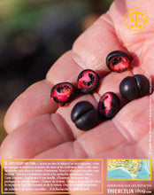 Moutarde aux baies de Tasmanie, texture lisse