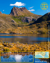 Sirop aux Baies de Tasmanie, liquide